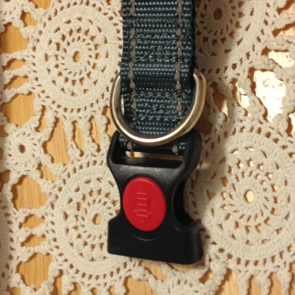 Joytale Pet Collar, Size Medium